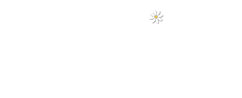 Bend Holistic Health Care - logo white